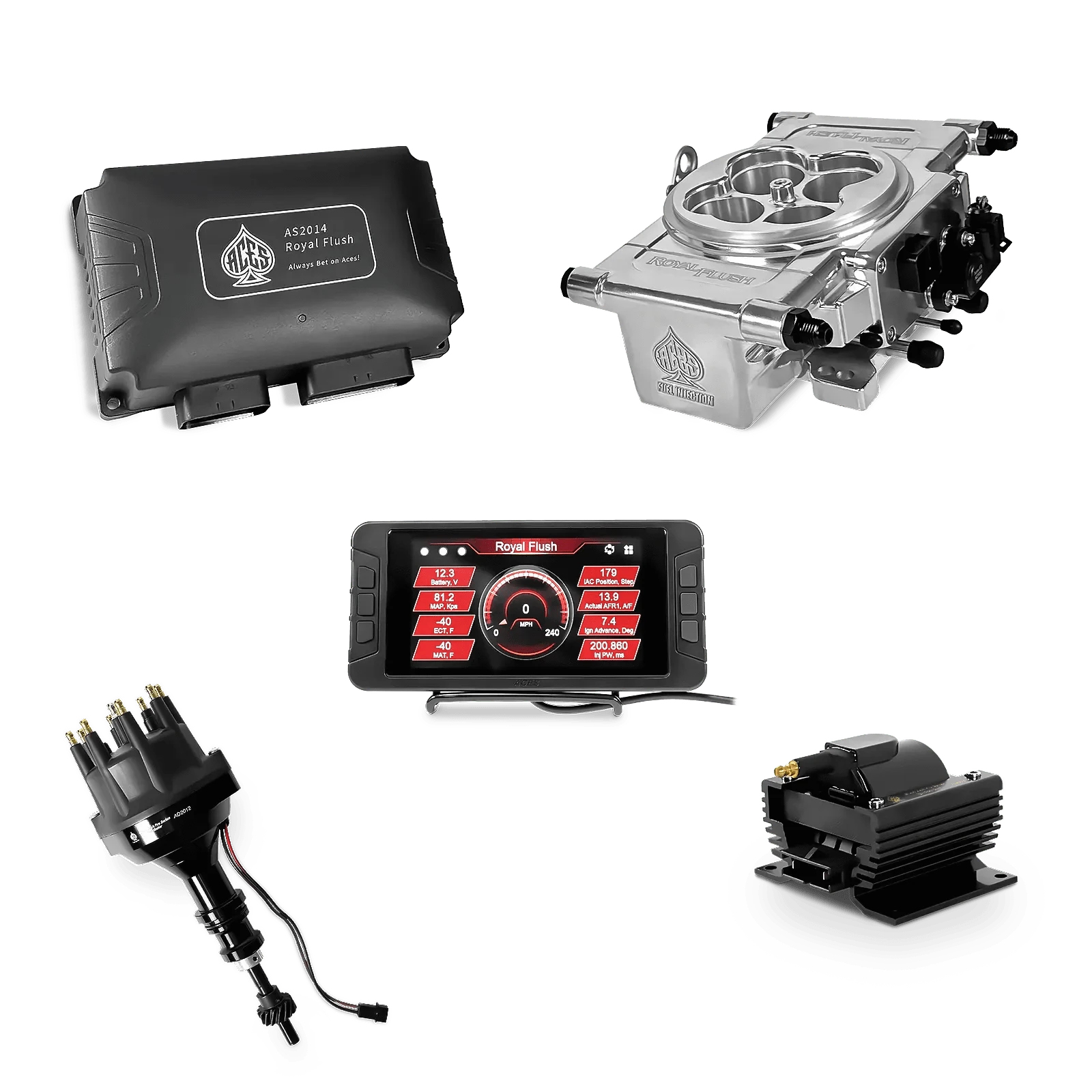 Aces Fuel Injection Polished / SBF 289/302 Royal Flush EFI/CDI - Top End Kit