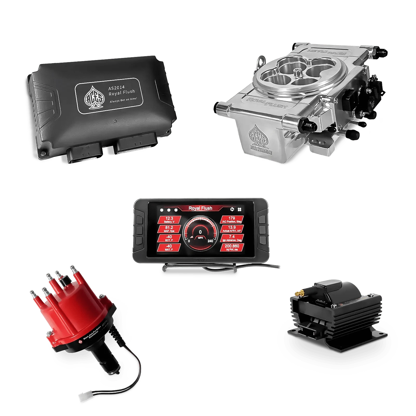 Aces Fuel Injection Polished / VW Type 1 Royal Flush EFI/CDI - Top End Kit