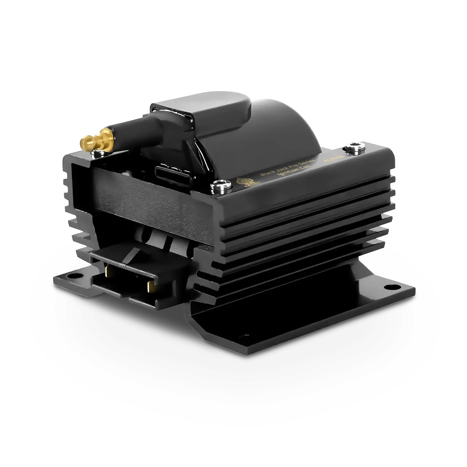 Aces Fuel Injection Royal Flush EFI/CDI - Top End Kit