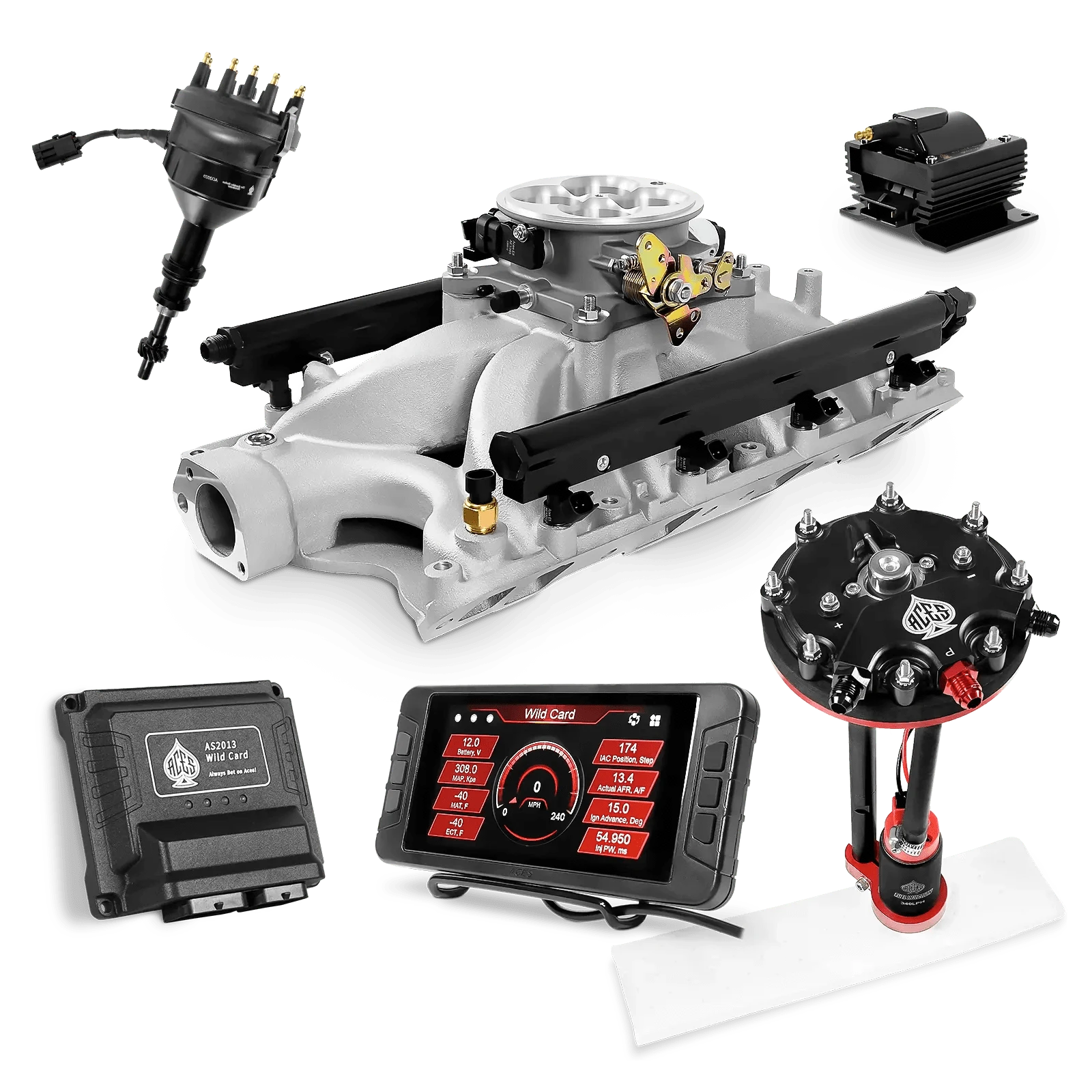 Aces Fuel Injection Tank Conversion Pump Module with Internal Regulator (340 LPH) / Silver Manifold for 351W SBF Wild Card Sequential EFI Master Kits (500 HP)