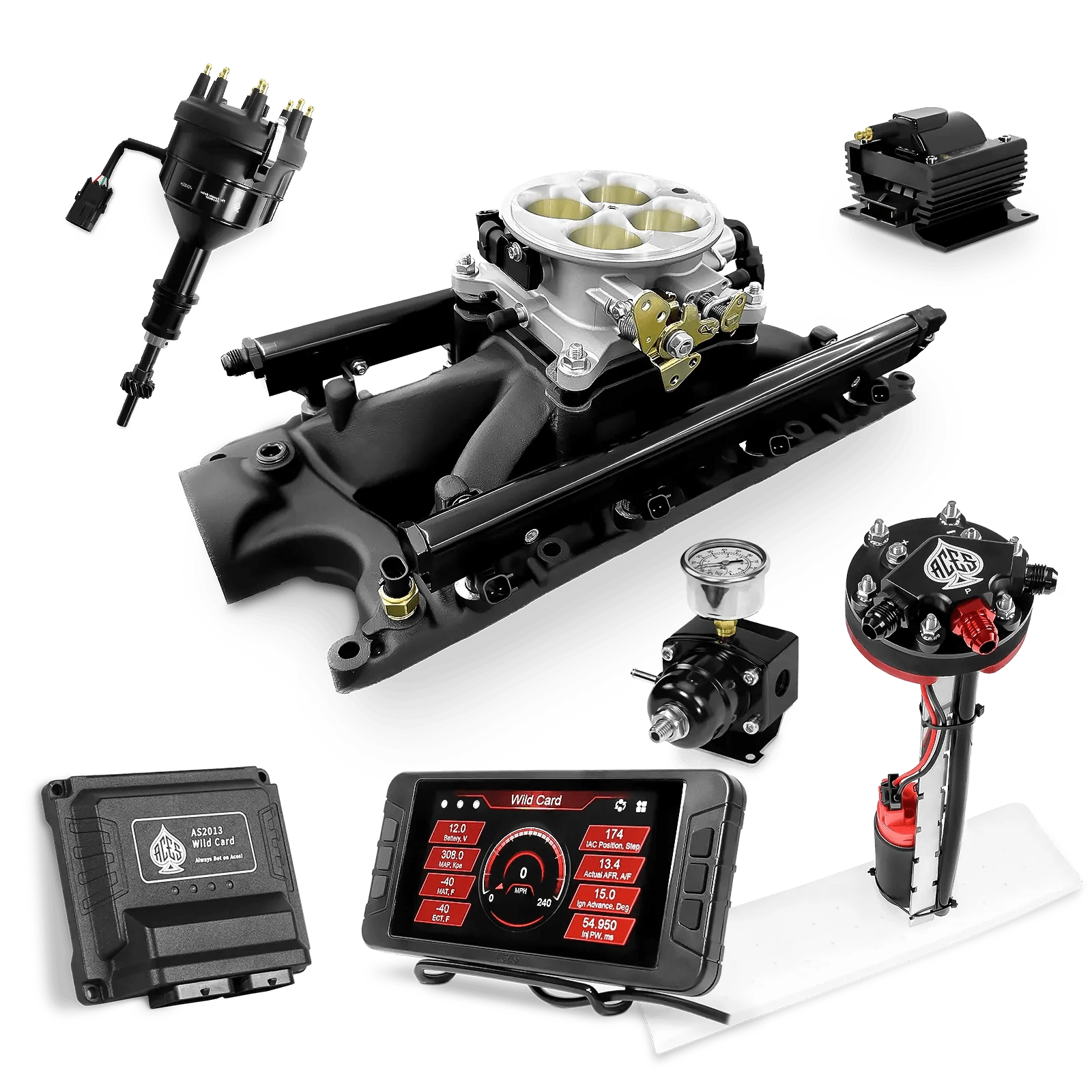 Aces Fuel Injection Tight Fit In-tank Pump Module (255 LPH) / Black Manifold for 302 SBF Wild Card Sequential EFI Master Kits (500 HP)