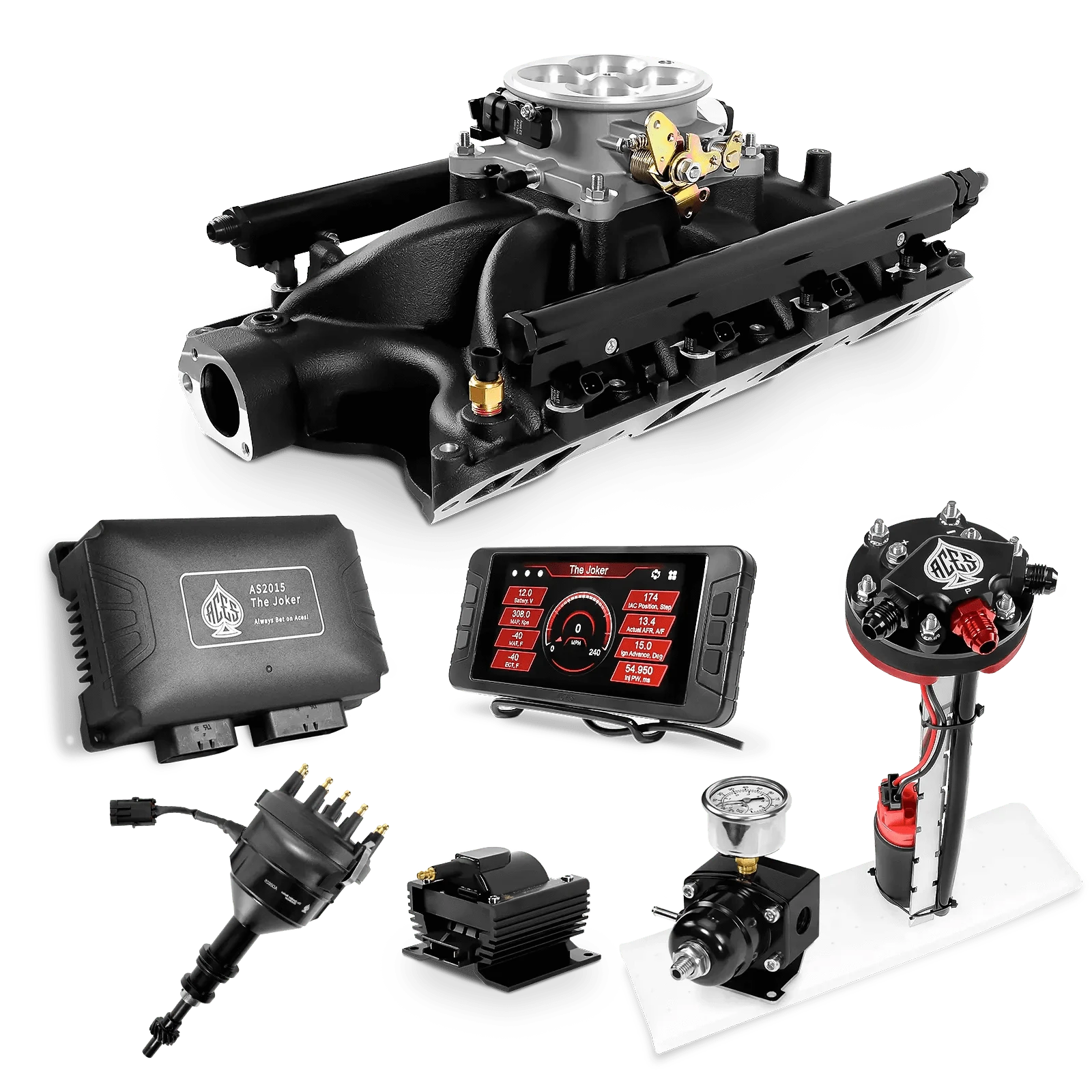 Aces Fuel Injection Tight Fit In-tank Pump Module (255 LPH) / Black Manifold for 351W SBF The Joker Sequential EFI/CDI Master Kits (500 HP)