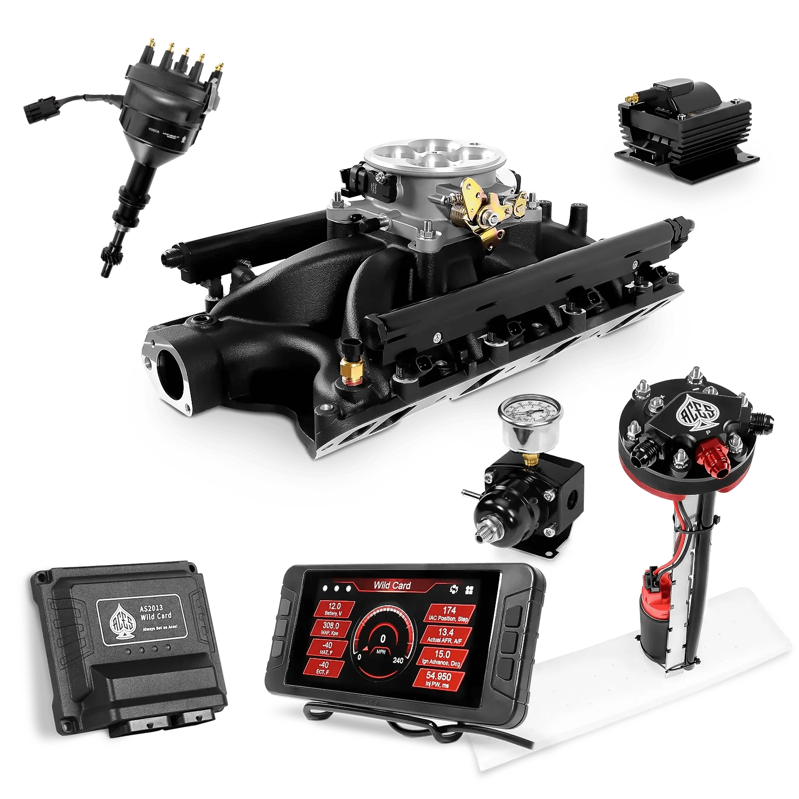 Aces Fuel Injection Tight Fit In-tank Pump Module (255 LPH) / Black Manifold for 351W SBF Wild Card Sequential EFI Master Kits (500 HP)