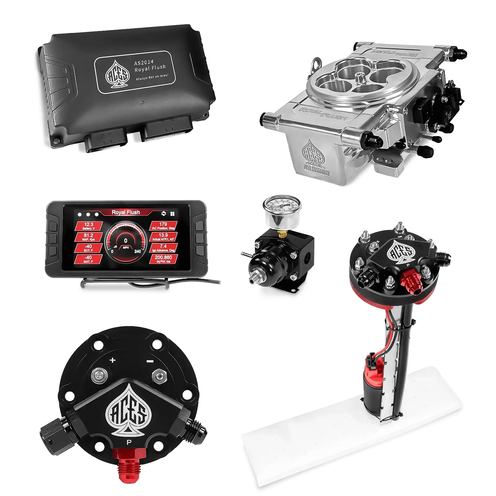 Aces Fuel Injection Tight Fit In-tank Pump Module (255 LPH) / Polished Royal Flush EFI/CDI w/Fuel Delivery System