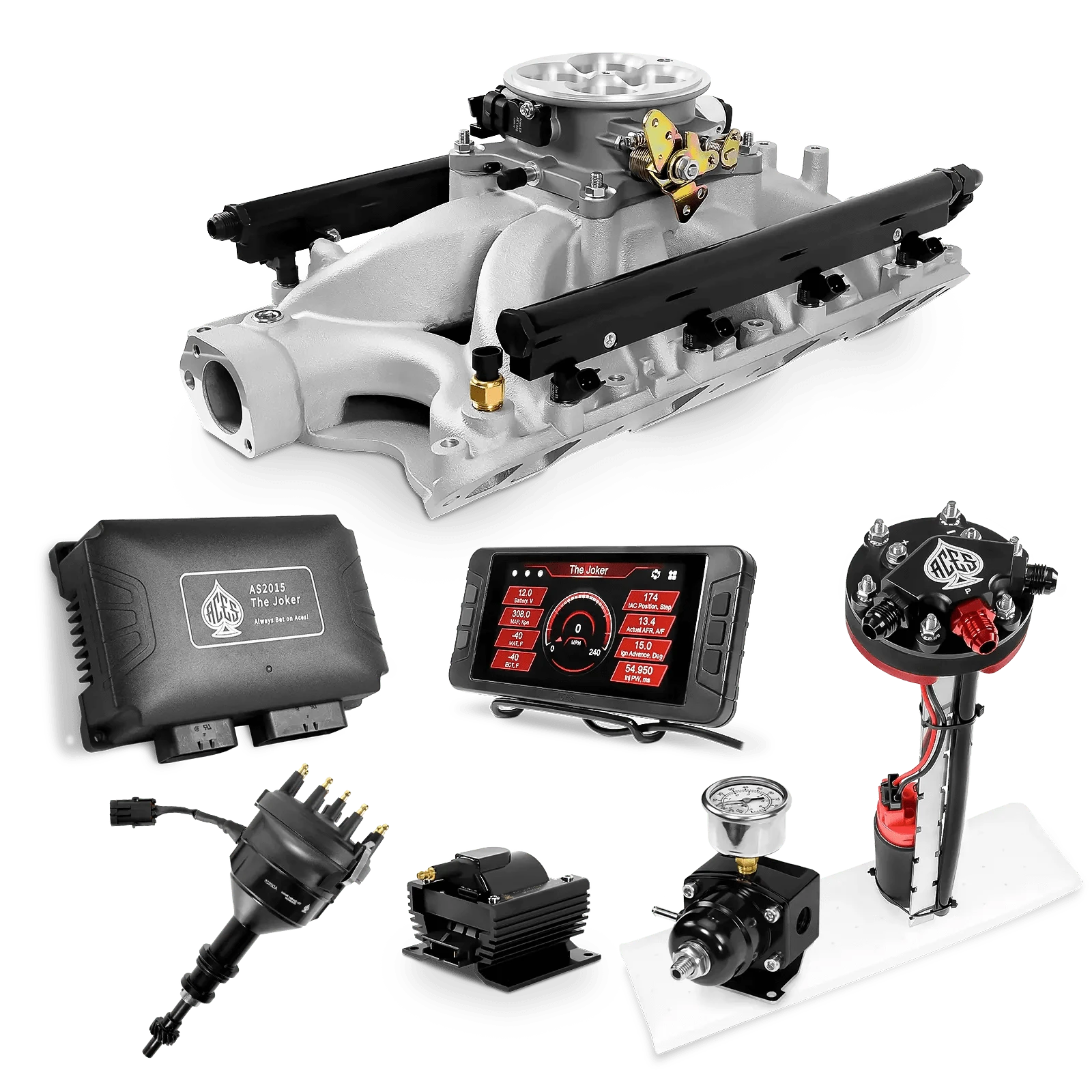 Aces Fuel Injection Tight Fit In-tank Pump Module (255 LPH) / Silver Manifold for 351W SBF The Joker Sequential EFI/CDI Master Kits (500 HP)