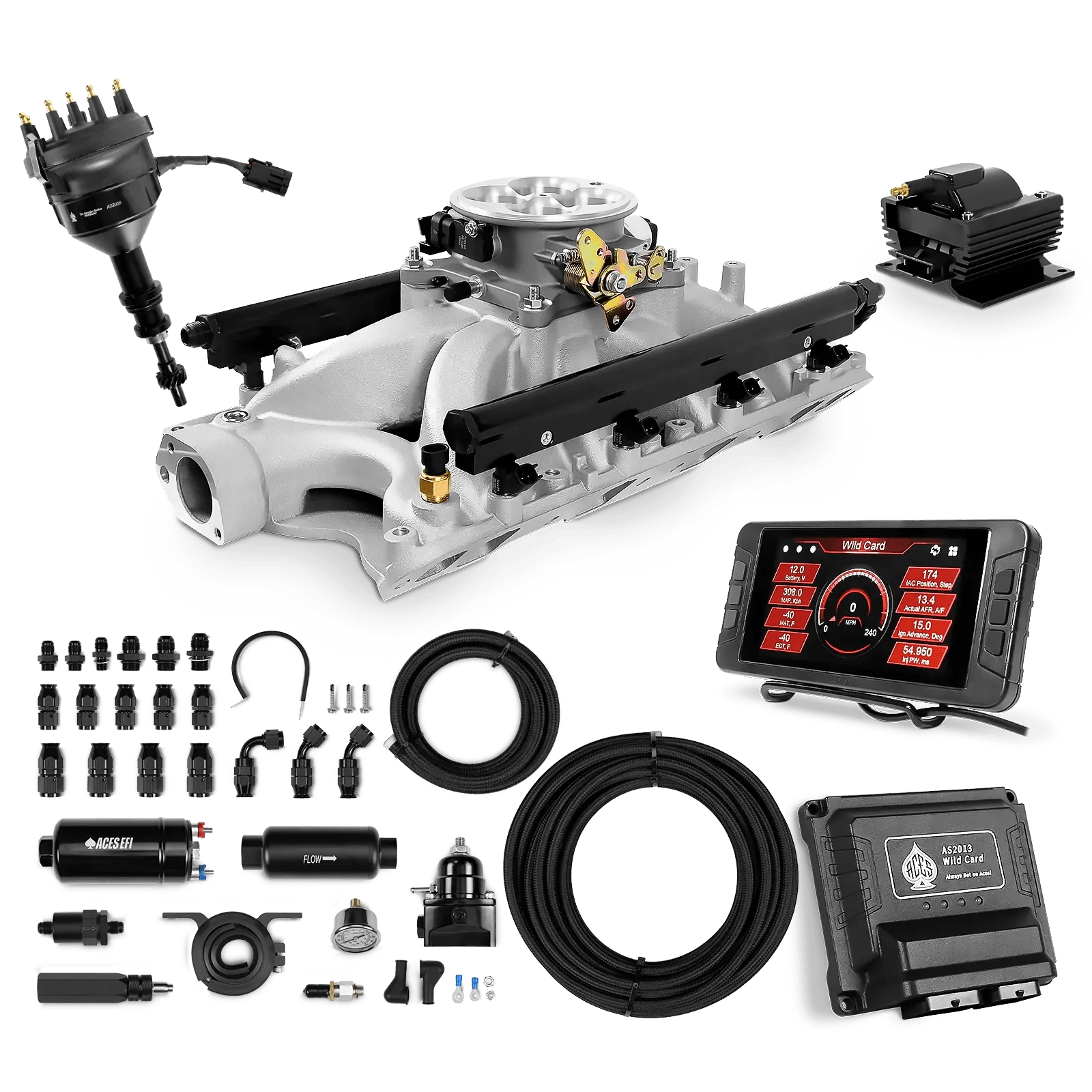Aces Fuel Injection Tight Fit In-tank Pump Module (255 LPH) / Silver Manifold for 351W SBF Wild Card Sequential EFI Master Kits (500 HP)