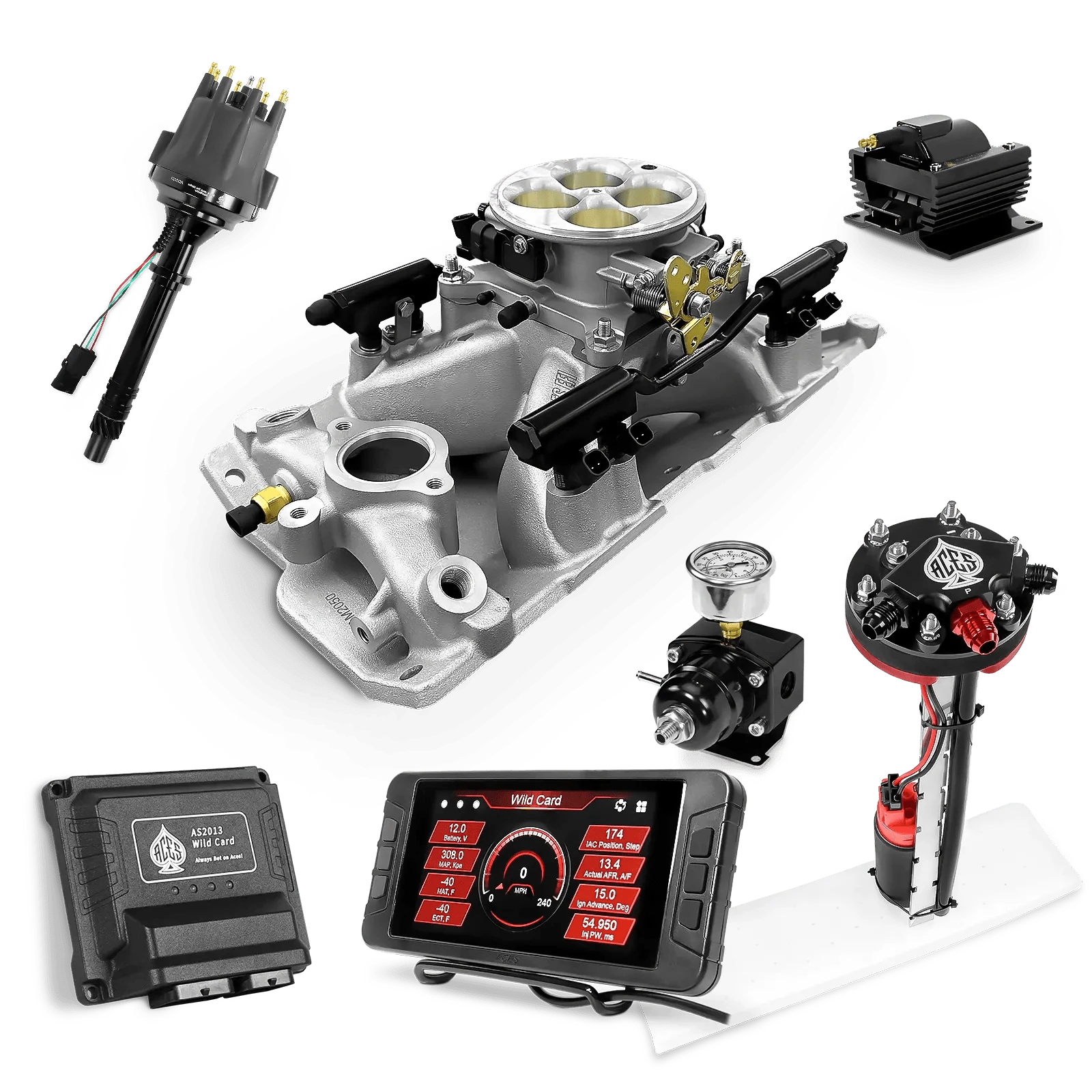 Aces Fuel Injection Tight Fit In-tank Pump Module (255 LPH) / Silver Manifold for SBC (non-vortec) Wild Card Sequential EFI Master Kits (500 HP)